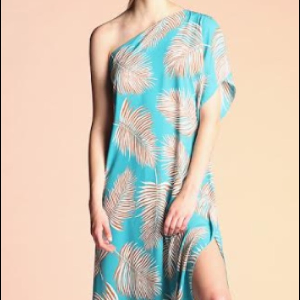 Blue Feathered Dress